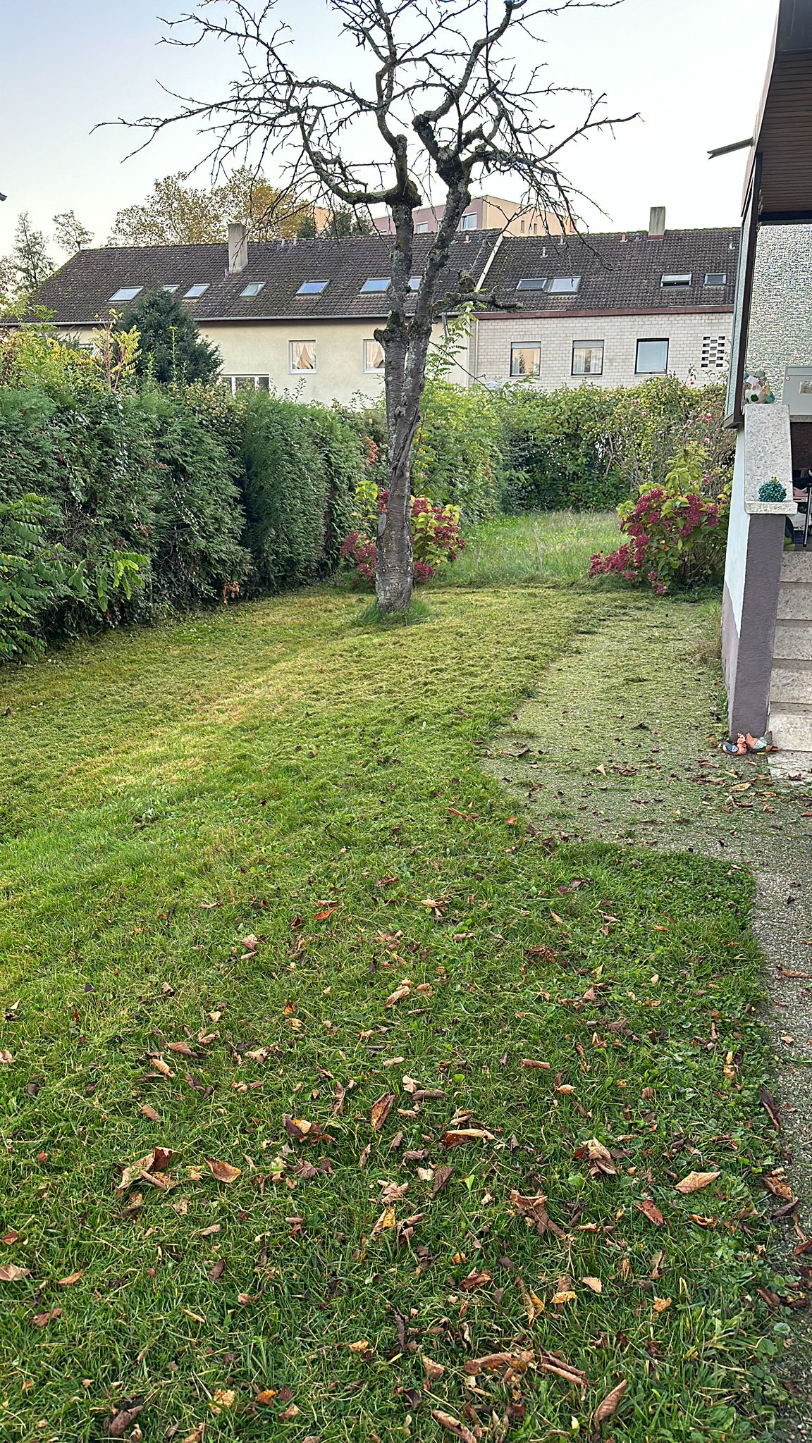 IMG-20241230-WA0153