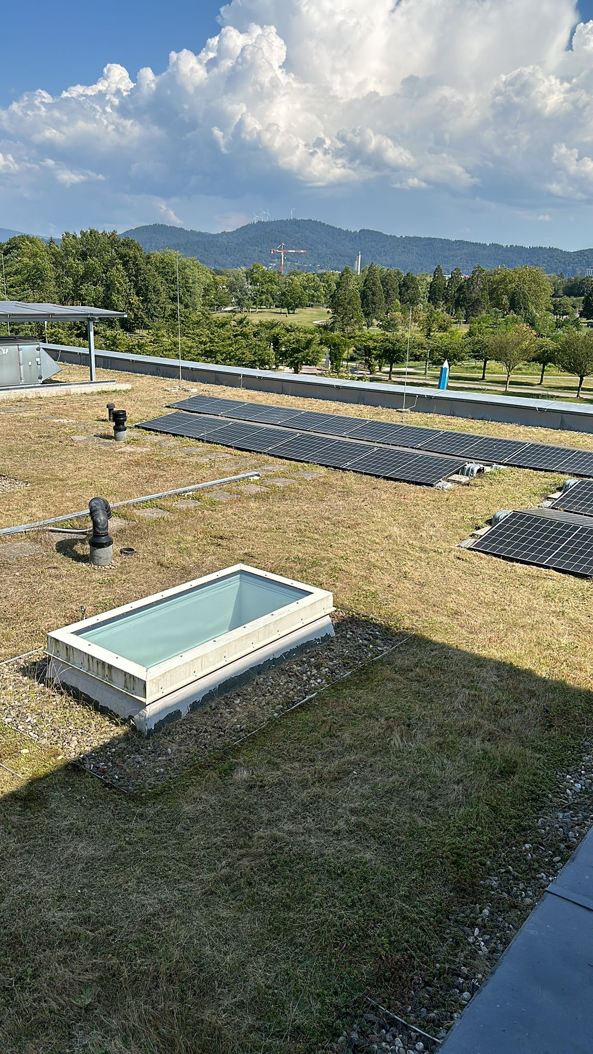 IMG-20241230-WA0155