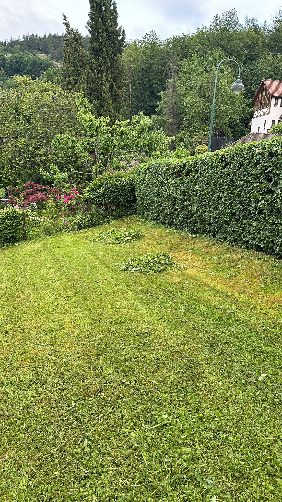 IMG-20241230-WA0165